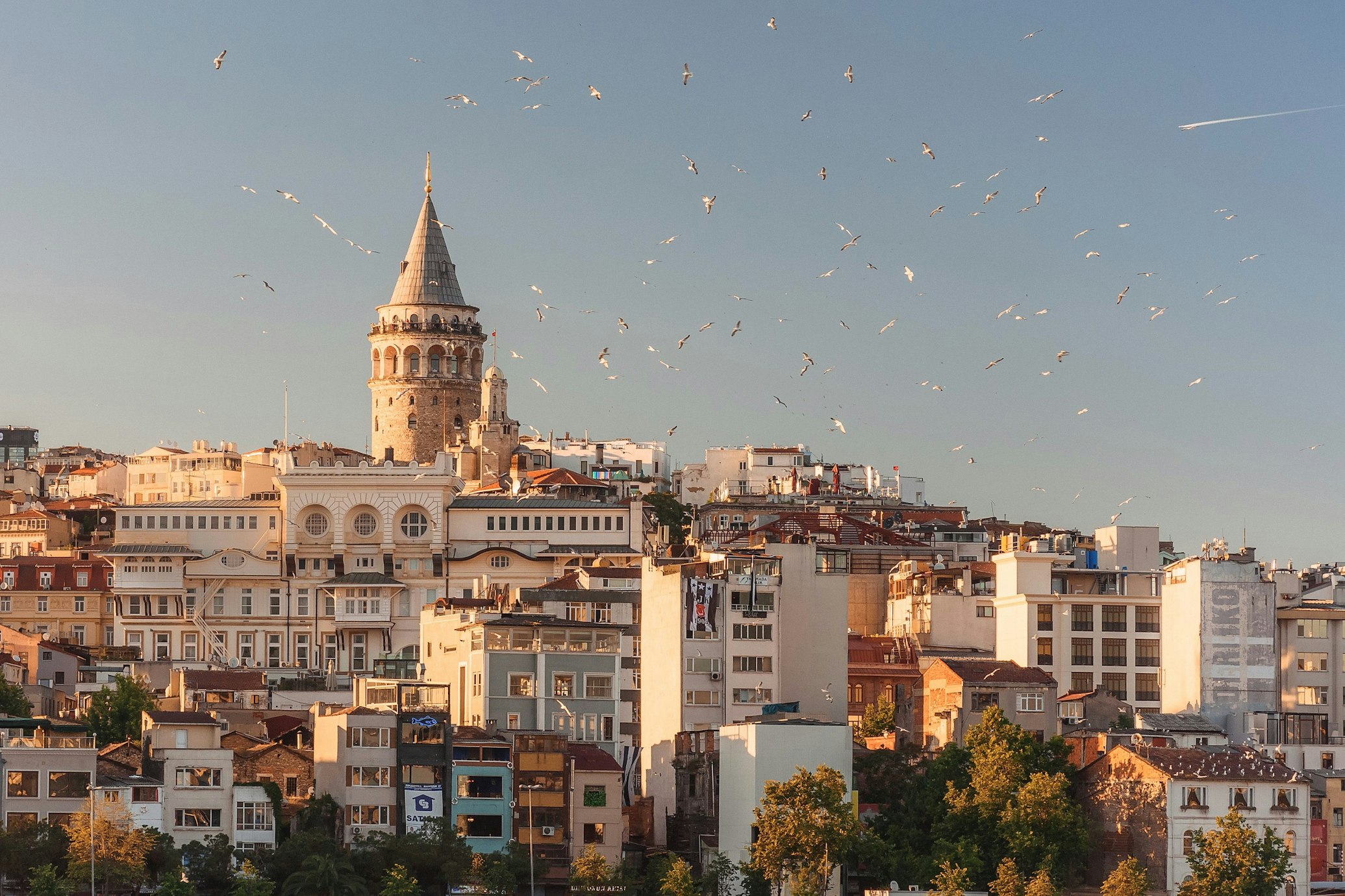 Travel Header